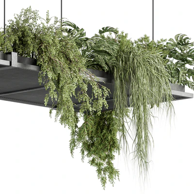indoor Plant 443 - Hanging Plants — Ver 3