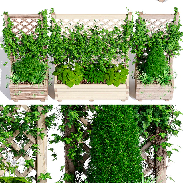 Planter with lattice — Descargar