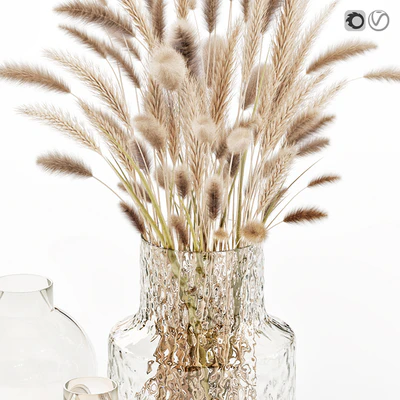 Dry flowers in glass vase — Ver 4