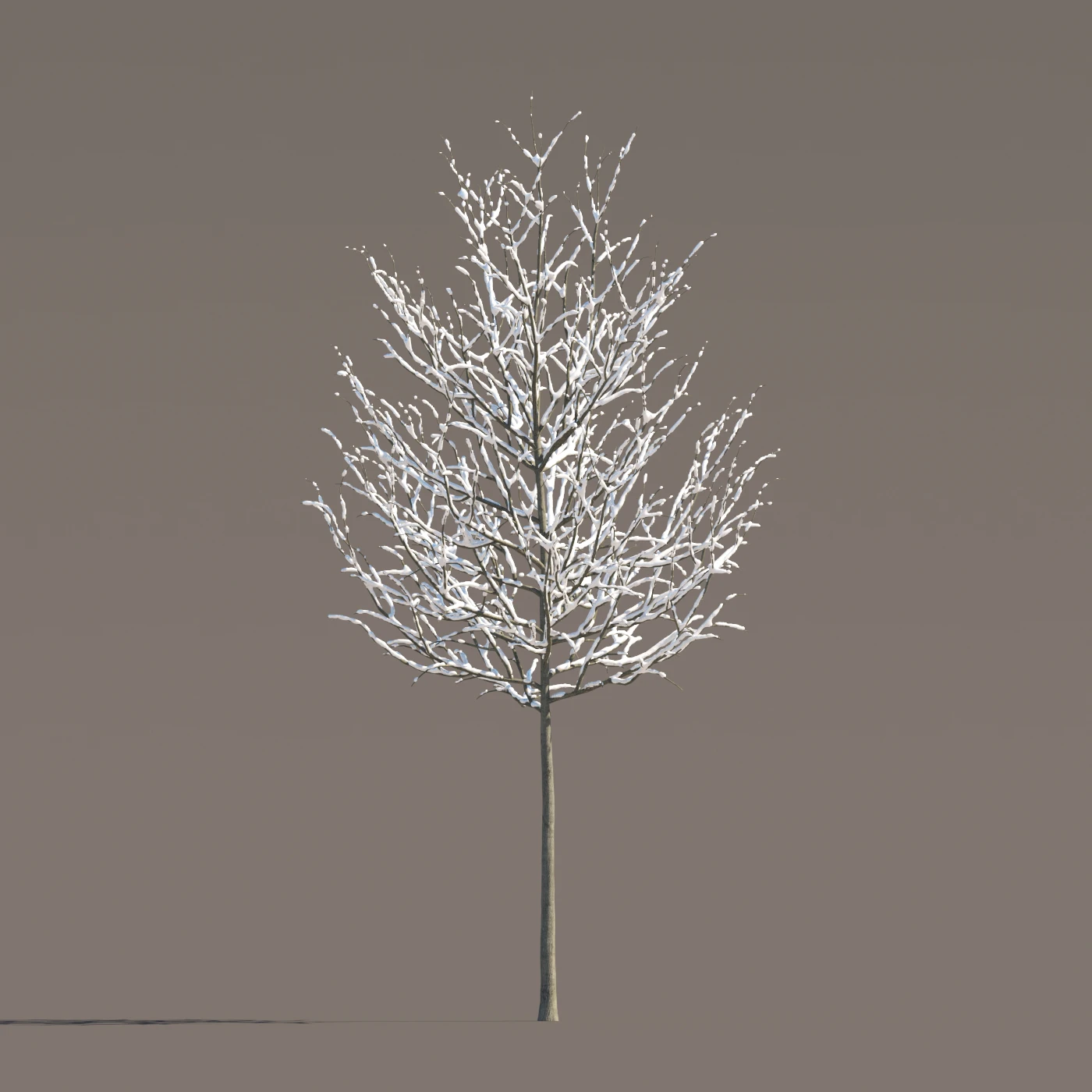 064 winter — Descargar