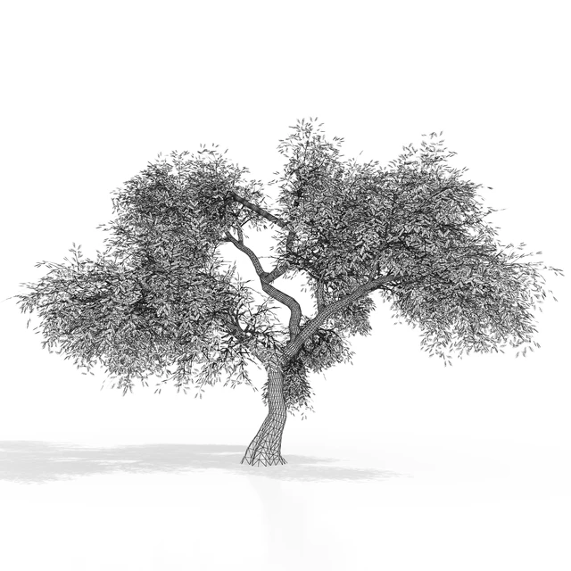 Green tree 2 — Descargar