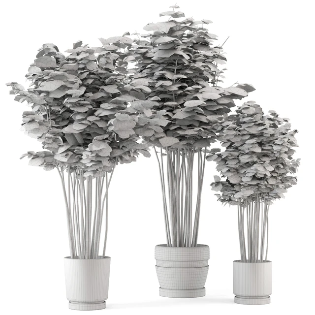 Indoor Plants Bamboo Set in rusty Concrete Pots - Set 108 — Descargar