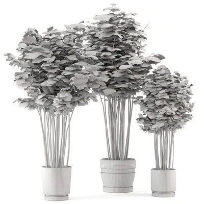 Indoor Plants Bamboo Set in rusty Concrete Pots - Set 108 — Ver 6