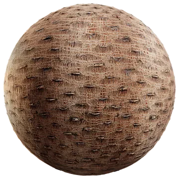palm bark 005 — Скачать