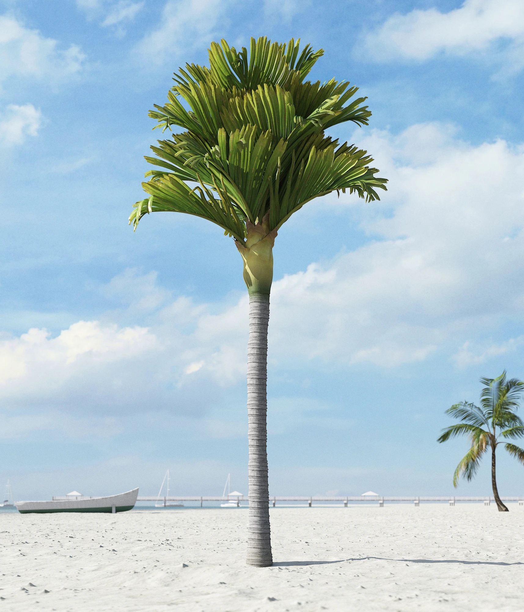 palm trees 035 — Descargar