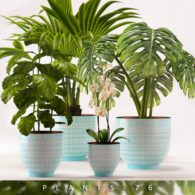 PLANTS 76 — Ver 1