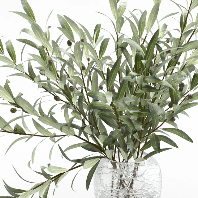 Olive branches in a vase — Descargar