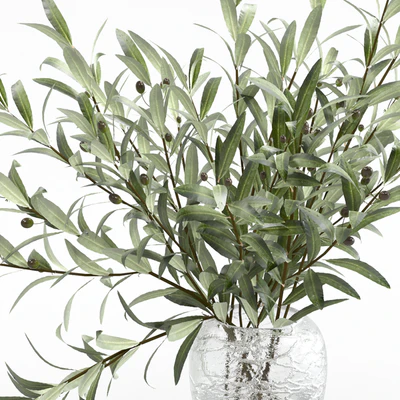 Olive branches in a vase — Ver 3