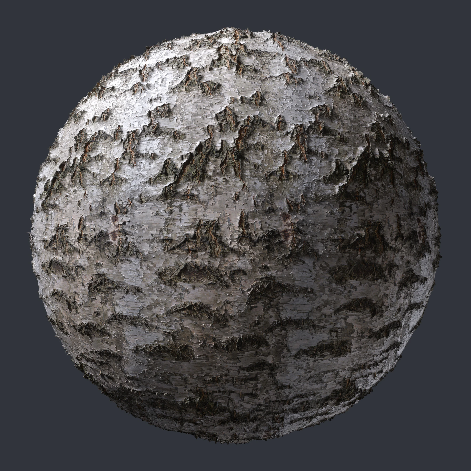 birch bark 001 — Скачать