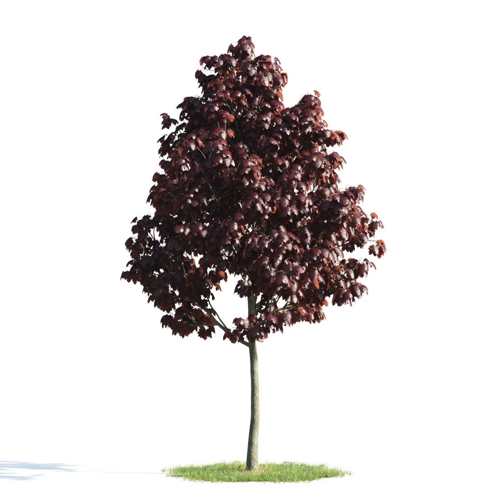 trees 019 — Descargar
