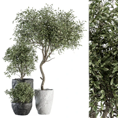 Outdoor Plant Set 363 - Plant Set in Stone Pot — скачать