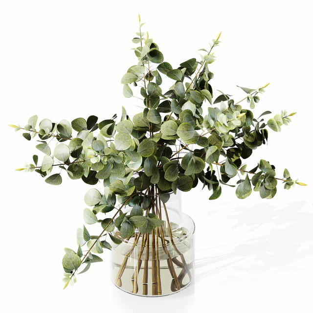 Collection Indoor Plants 034 — Descargar