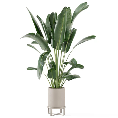 Indoor Plants in Ferm Living Bau Pot Large - Set 173 — Вид 2