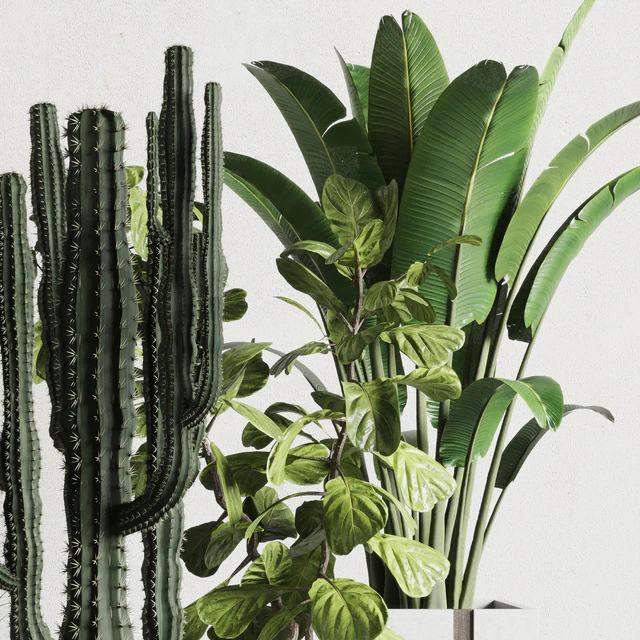 Plant box Indoor outdoor plant 163 wooden and concrete dirt vase box pot palm cactus Collection — Descargar