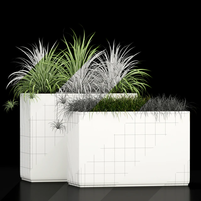 Plants collection 186 — Descargar