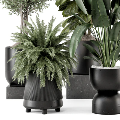 Indoor Plants in Ferm Living Bau Pot Large - Set 1277 — Ver 5