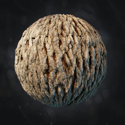 gledicia bark 011 — Скачать