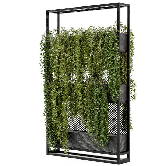 Indoor Hanging Plants in Metal Stand - Set 100 — Descargar
