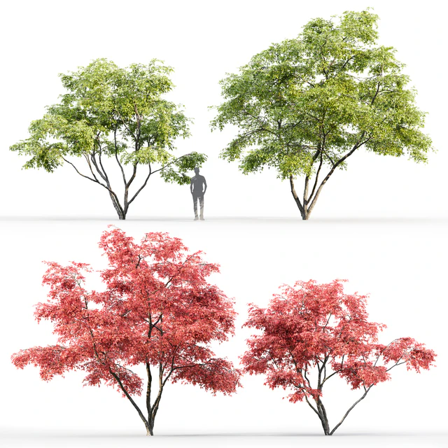 Acer — Descargar