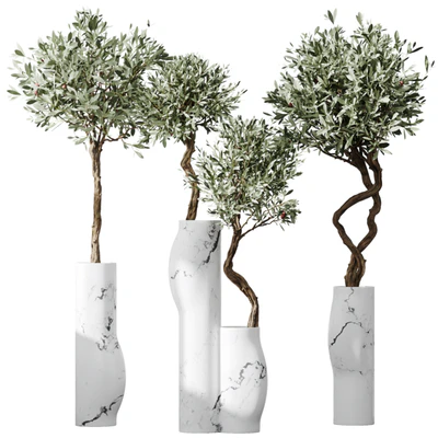 HQ Plants Mission Olive Tree Indoor Vase Set003 — скачать