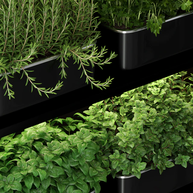 Plants collection 262 — Скачать