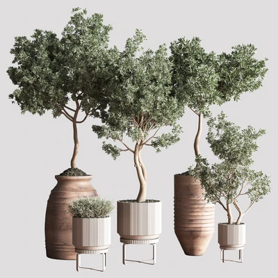 Indoor Plant Set11 — Ver 2