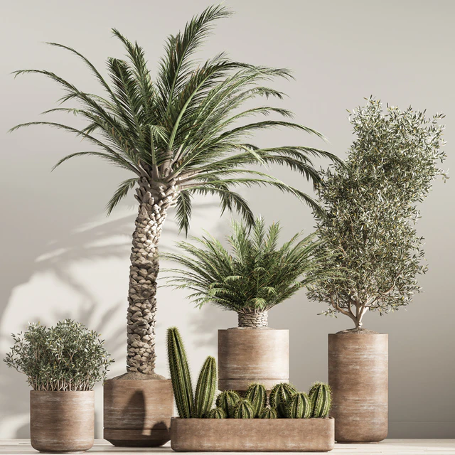 indoor plant set 36 — Скачать