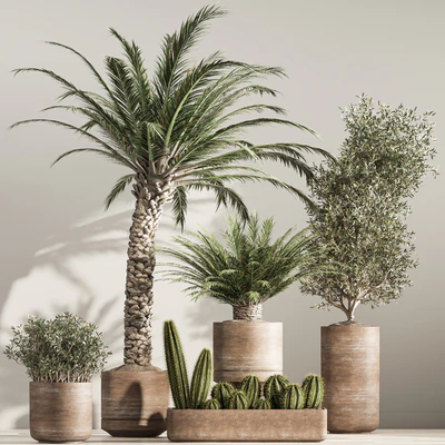 indoor plant set 36 — Вид 5