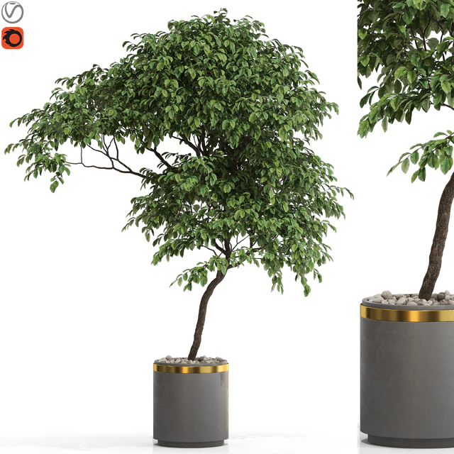 Plants collection 700 — Descargar