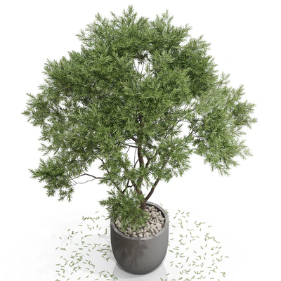 Plants collection 670 — Ver 5
