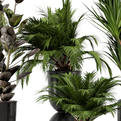 Indoor Plants in Ferm Living Bau Pot Large - Set 226 — Вид 2