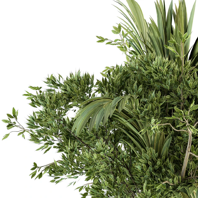 Bouquet - Branch in vase 27 — Descargar