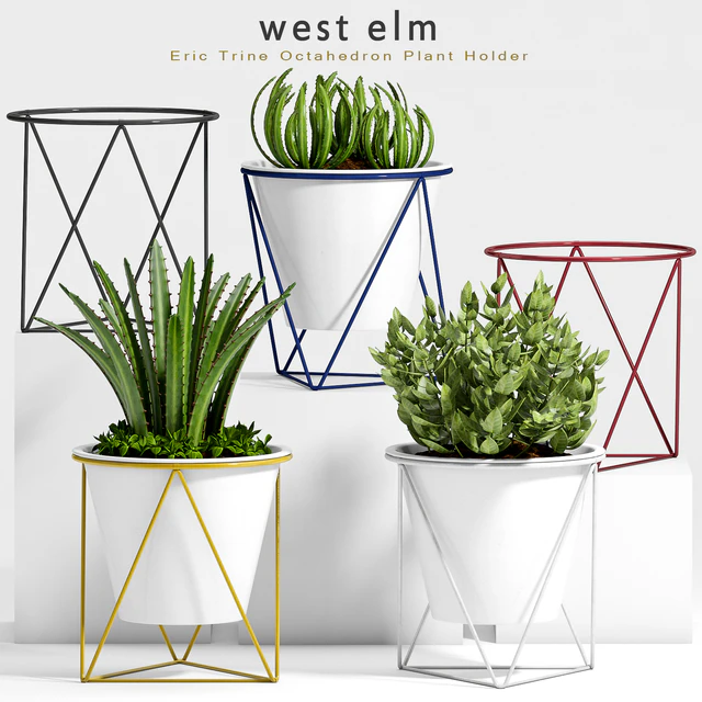PLANT -29 — Descargar