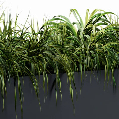 Ranch Grass plants in box - Outdoor Set 63 — Ver 4
