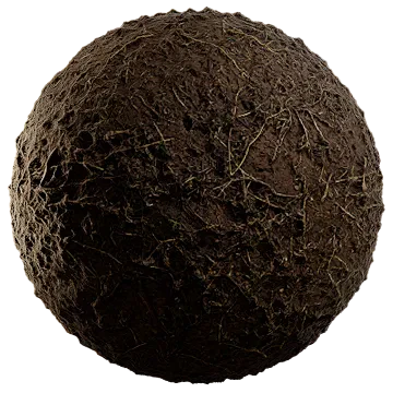 dried grass on damp soil 002 — Descargar