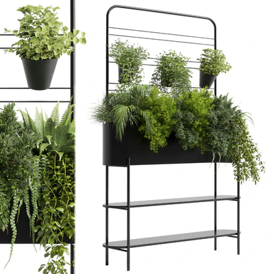Collection Indoor plant 126 Auckland Black Metal Flower Box plant ivy fern pots — Вид 3