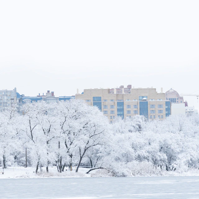 Winter panorama — Descargar
