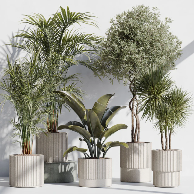 indoor plant set 69 — Descargar