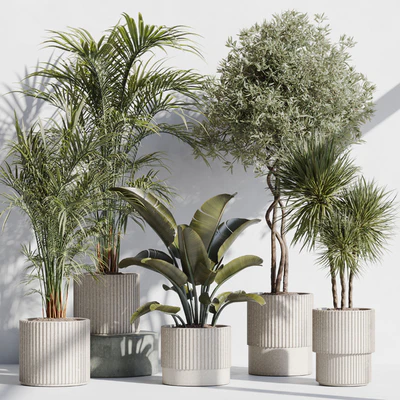 indoor plant set 69 — Ver 1