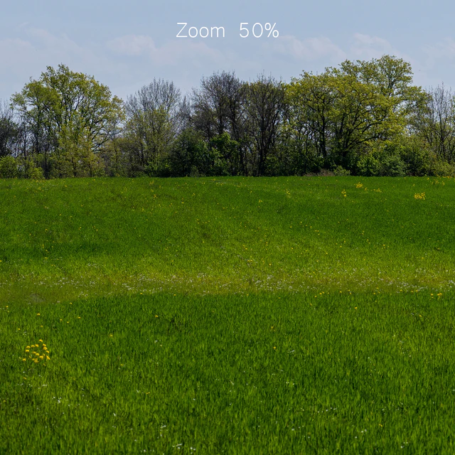 Panorama of a green field with flowers and trees. 32k — Descargar