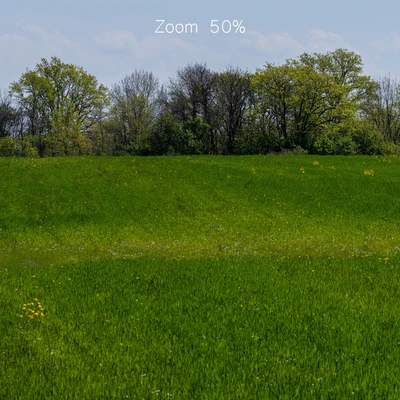 Panorama of a green field with flowers and trees. 32k — Ver 3