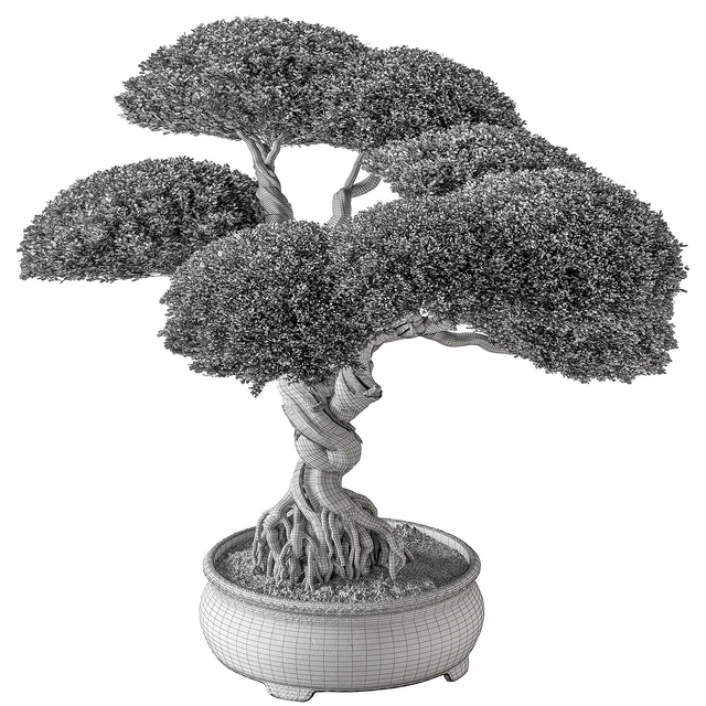 Indoor Plant 639 -Bonsai — Descargar