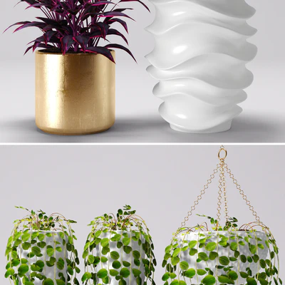 Plants in pots, white pot, flowerpot, flower — Ver 3