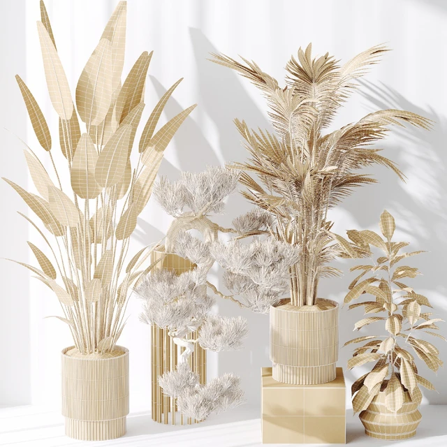Indoor plant set 31 — Скачать