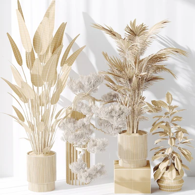 Indoor plant set 31 — Вид 3