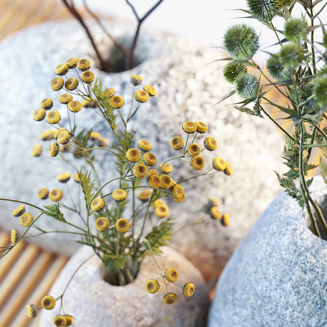 Dried flowers in stone vases — Download