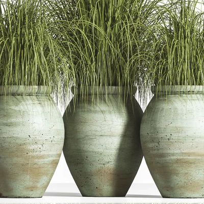 Outdoor Plant set 01 — Вид 5