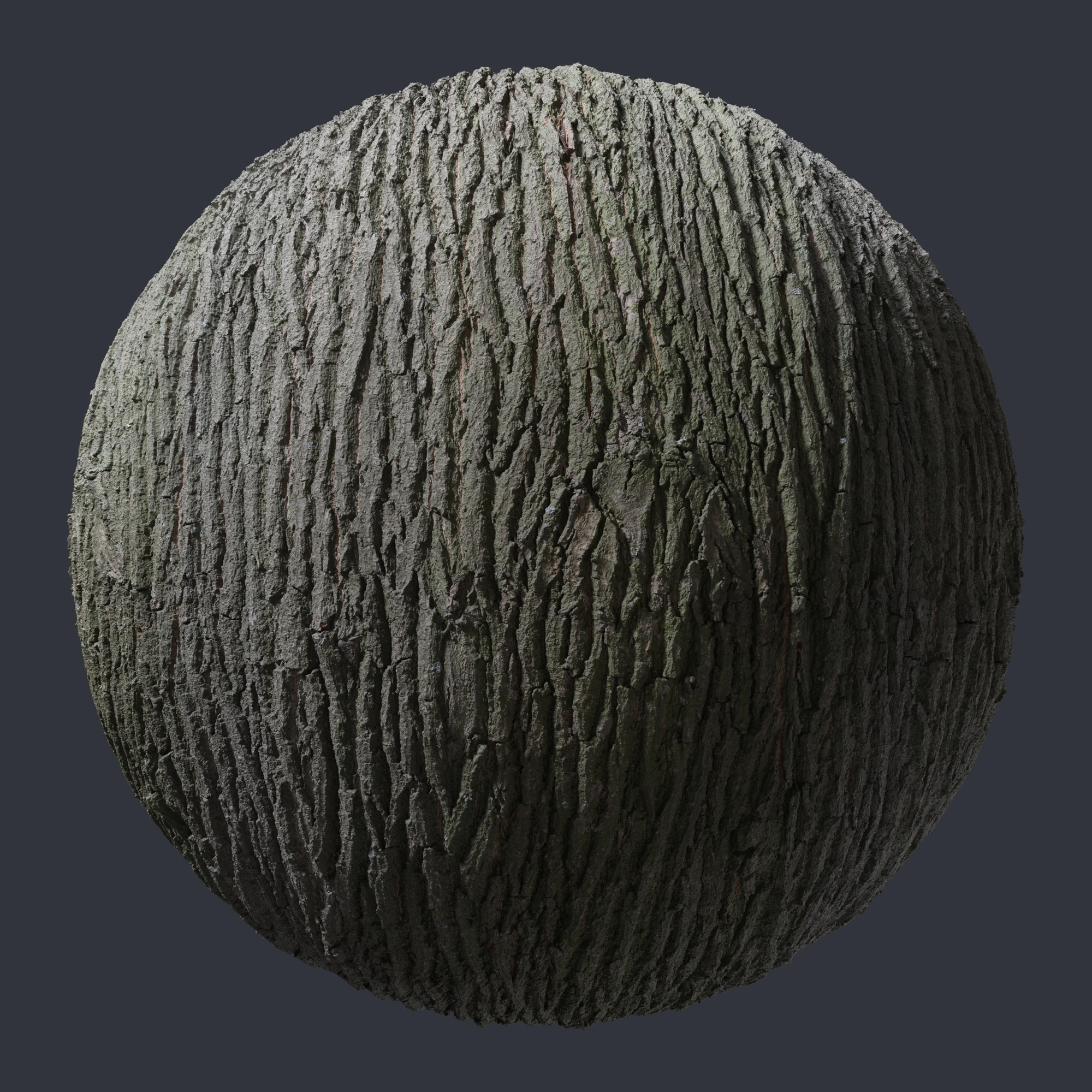 oak bark 005 — Скачать