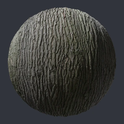 oak bark 005 — скачать