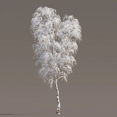 042 winter — Descargar
